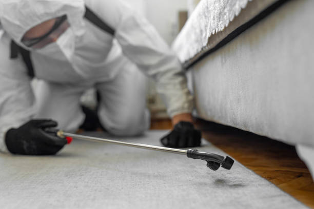 Professional Bed Bug Control technician working in Olivet, MI