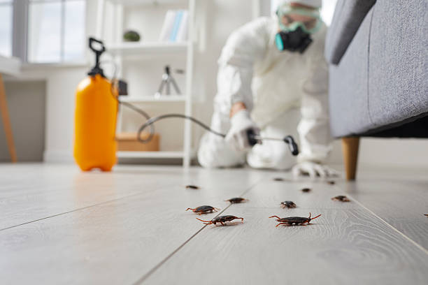 Trusted Cockroach Control service in Olivet, MI - Nex Pest Control