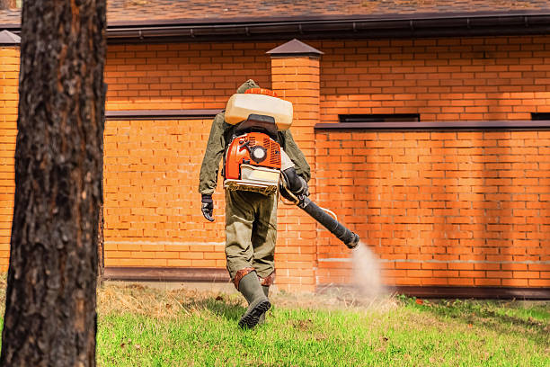 Trusted Mosquito Control service in Olivet, MI - Nex Pest Control